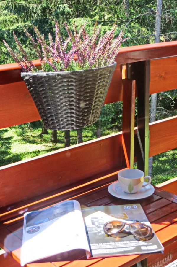 Koscielisko Residence Apartament Halszka 29C Luaran gambar